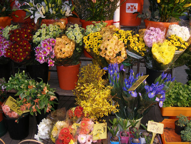 사용자 삽입 이미지