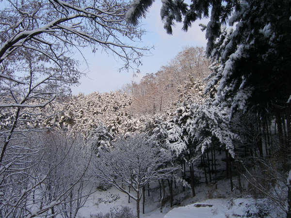 사용자 삽입 이미지