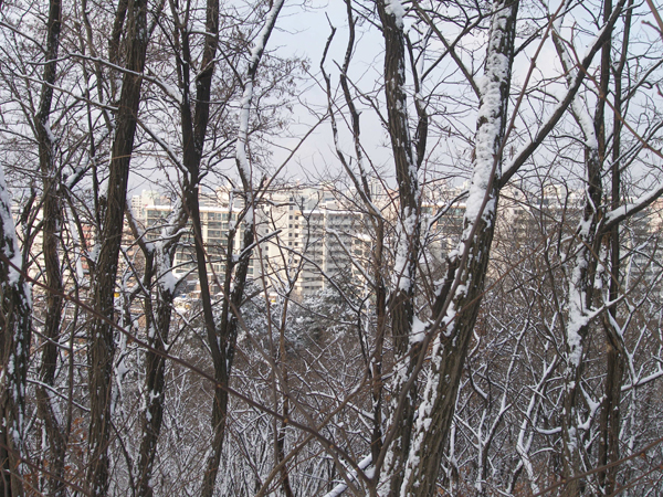 사용자 삽입 이미지